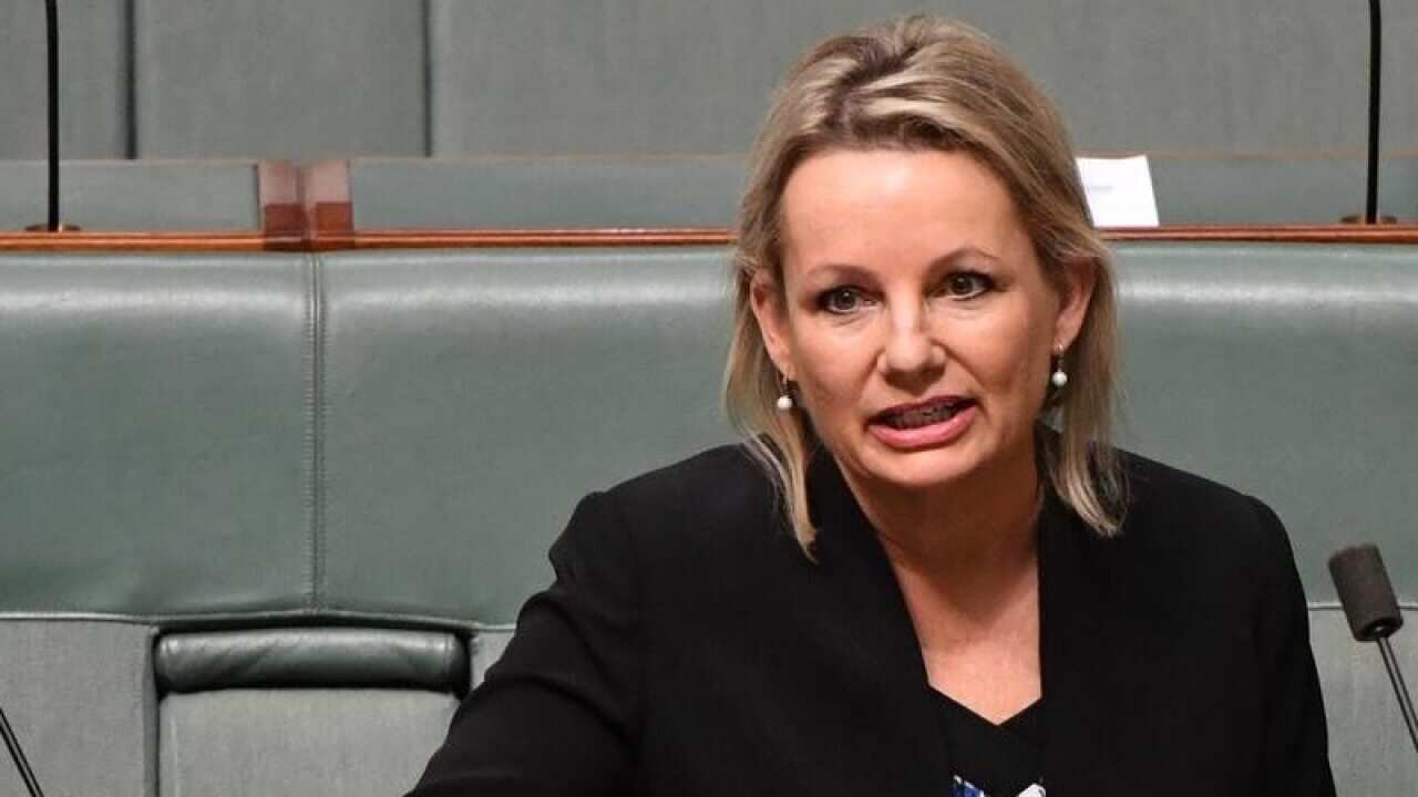 Senior Liberal MP Sussan Ley is calling on the NSW branch of the party to bring in quotas "as soon as possible" to ensure more women are elected.
