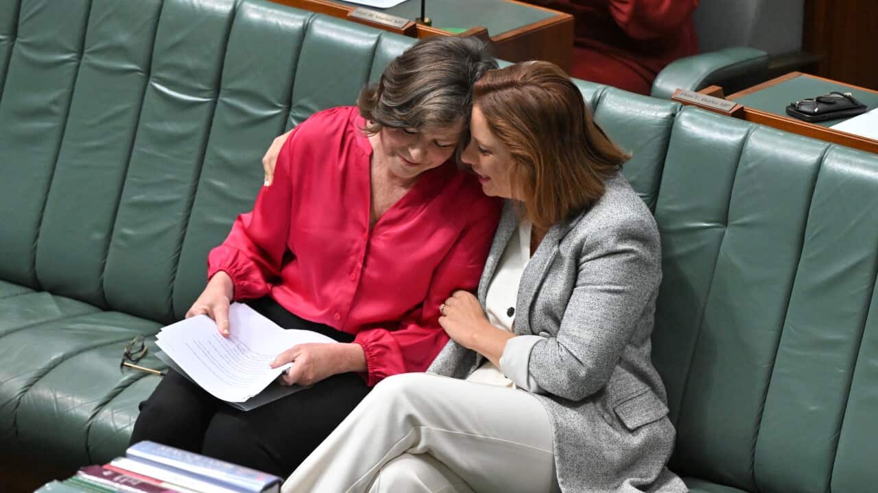 Image for read more article 'नेपालीमा पढ्नुहोस्'