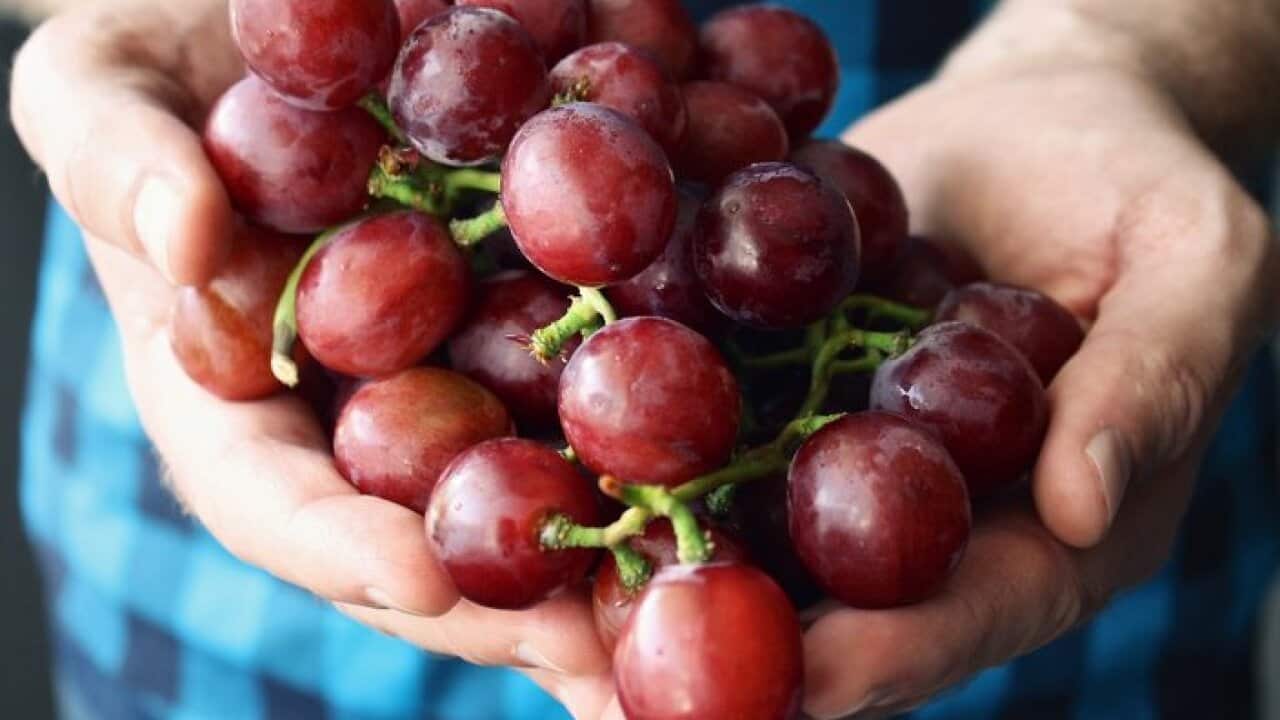 Handful of grapes