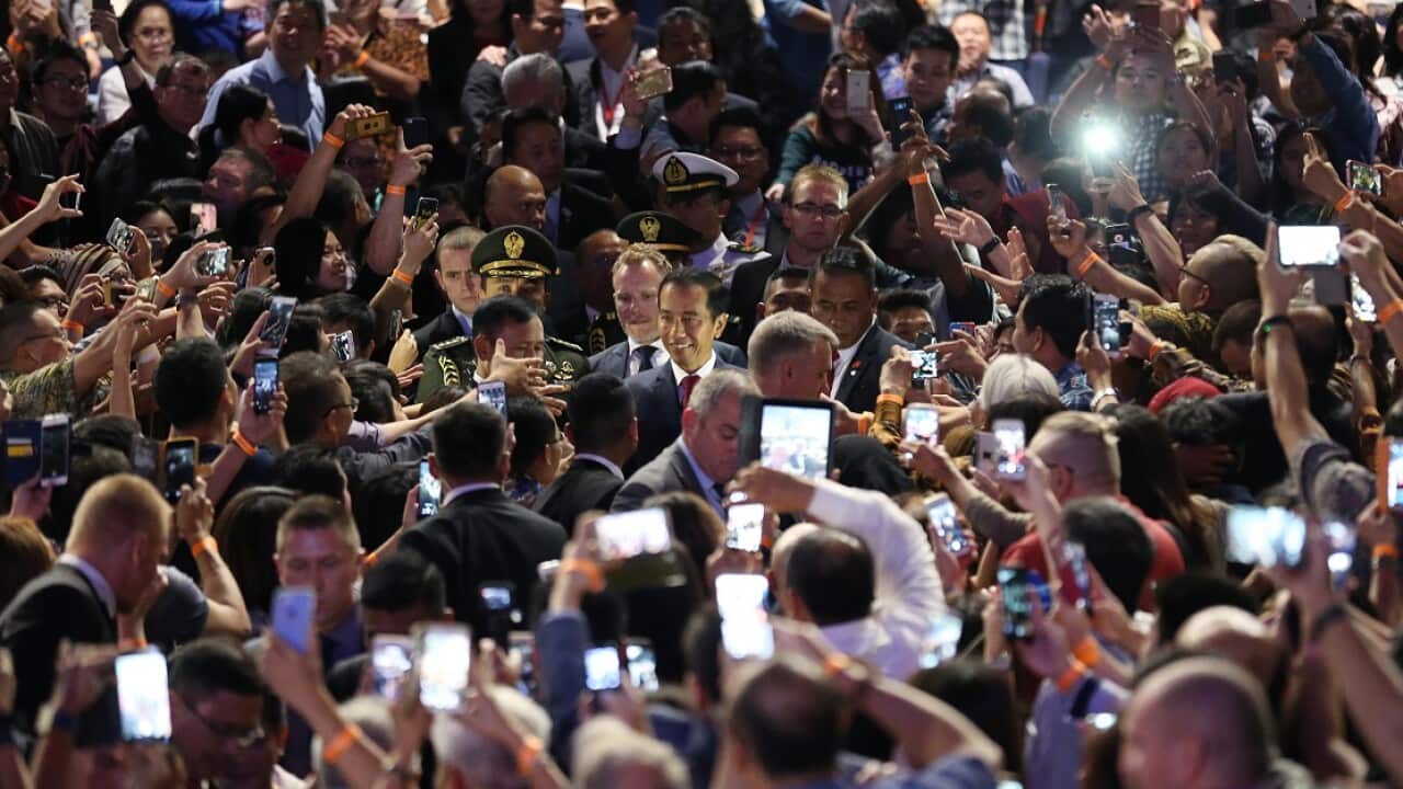 Indonesia President Joko Widodo