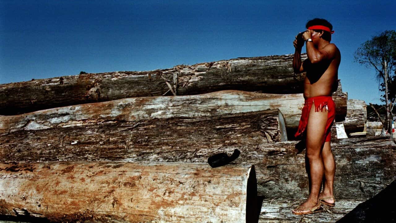 Illegal loggers ambushed an indigenous group in the Amazon, killing one of the jungle’s guardians. 