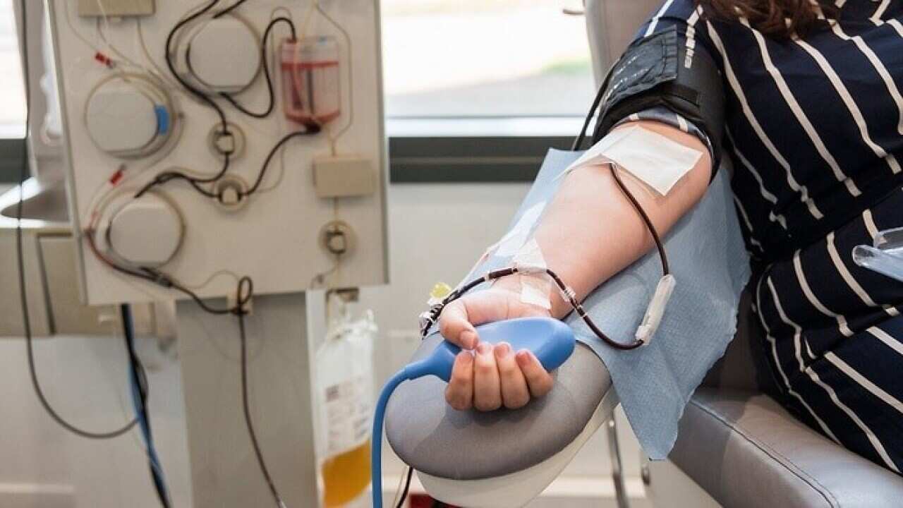 The plasma will be used to help create a new treatment for COVID-19 infections.