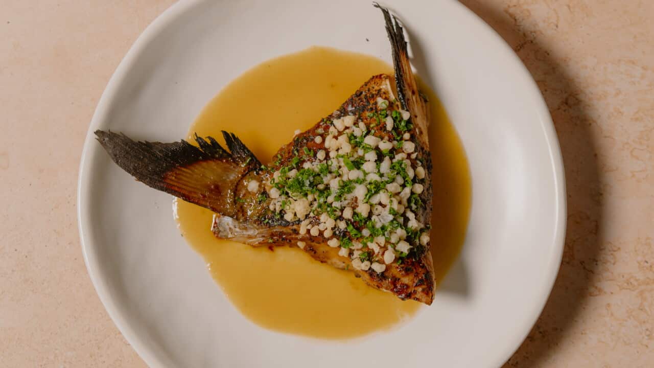 Mizozuke kingfish collar