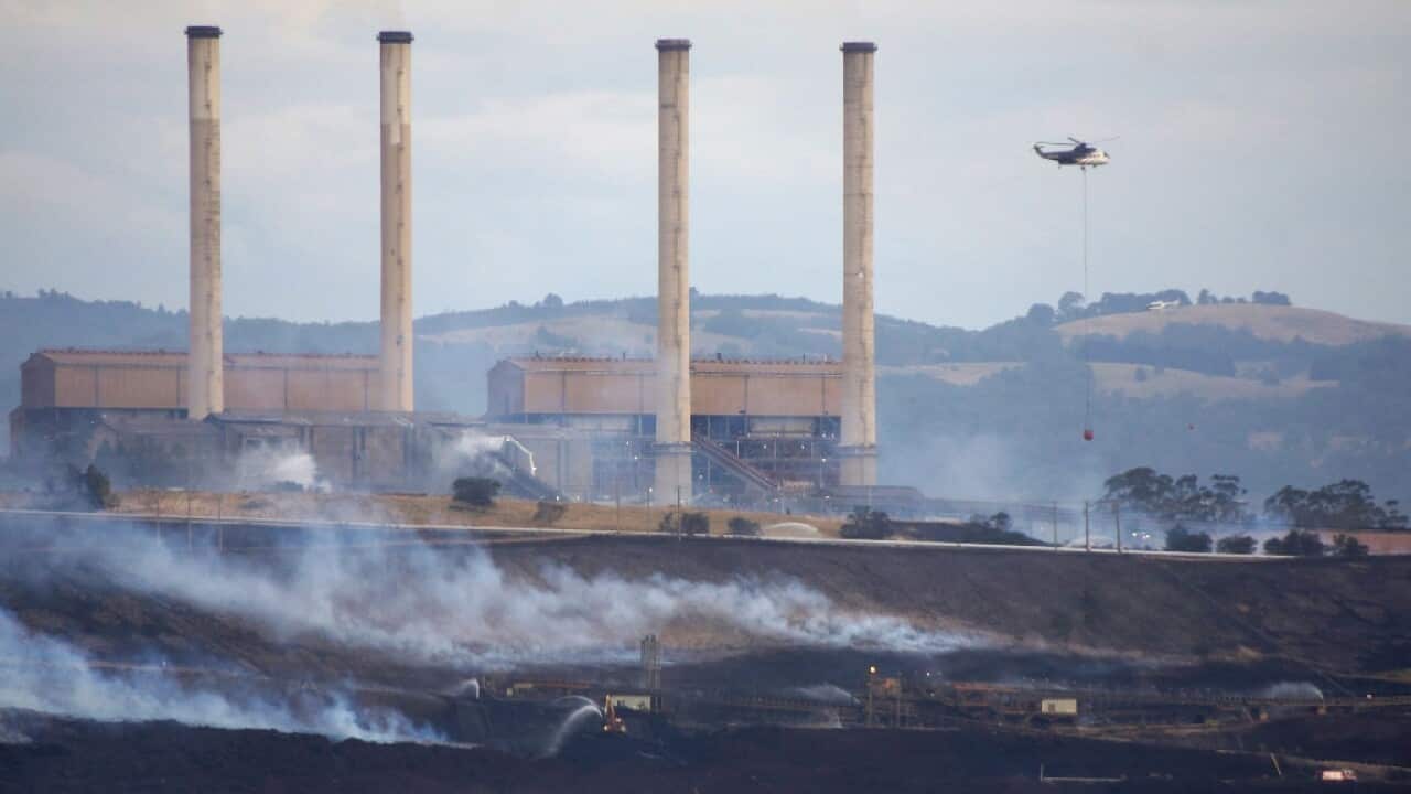 Hazelwood