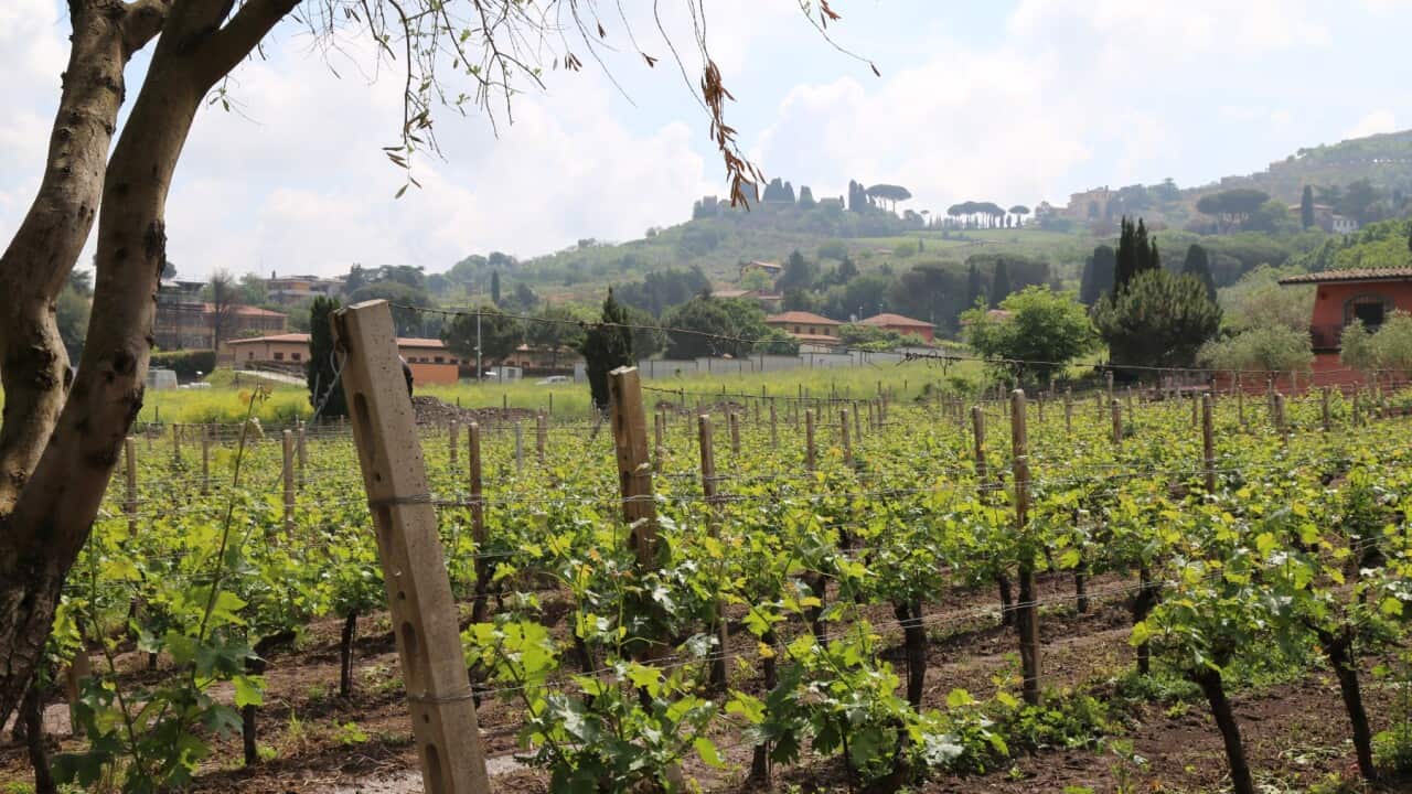 Image for read more article 'READ MORE'