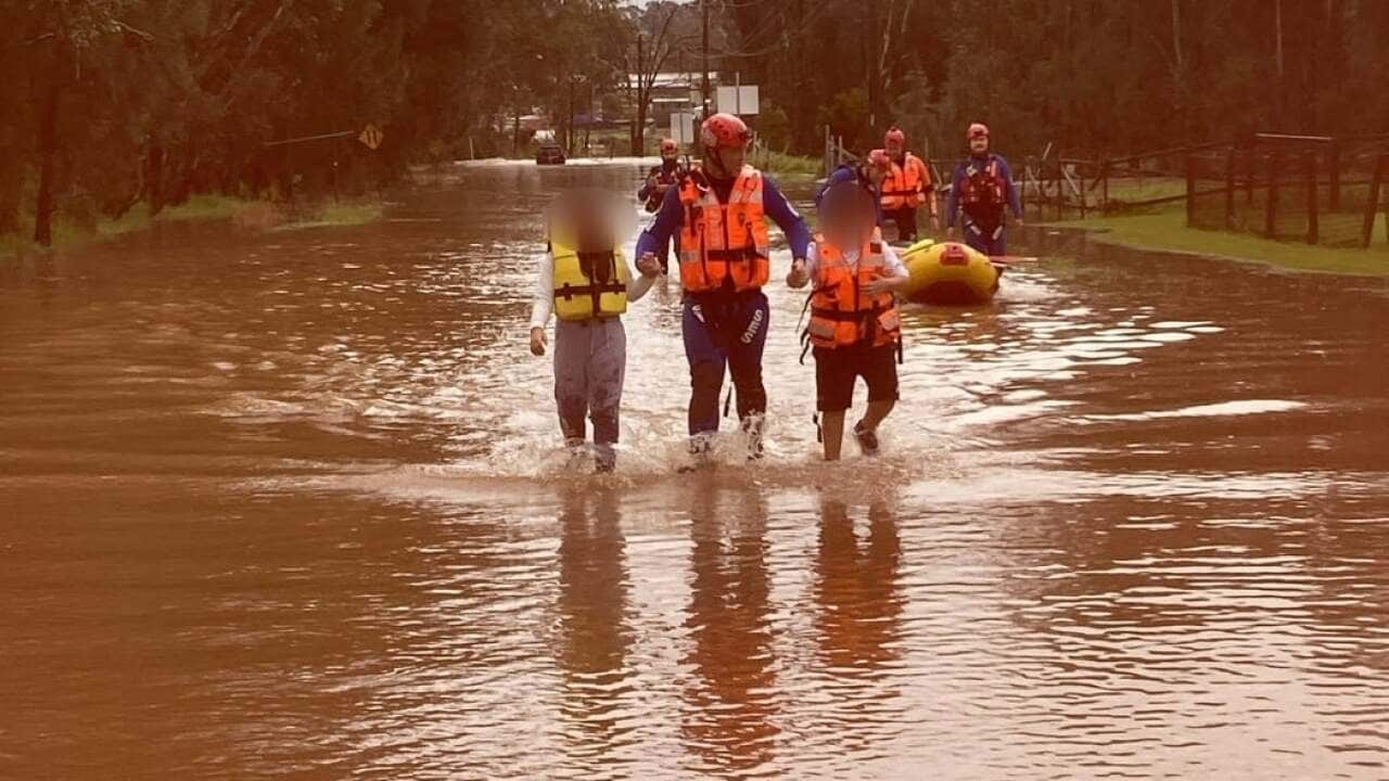 Flood rescue NSW SES.jpeg