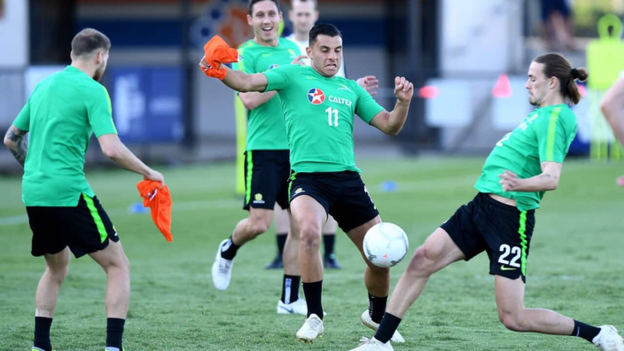 A Socceroos training session at Lions FC Stadium in Brisbane (Getty Images)