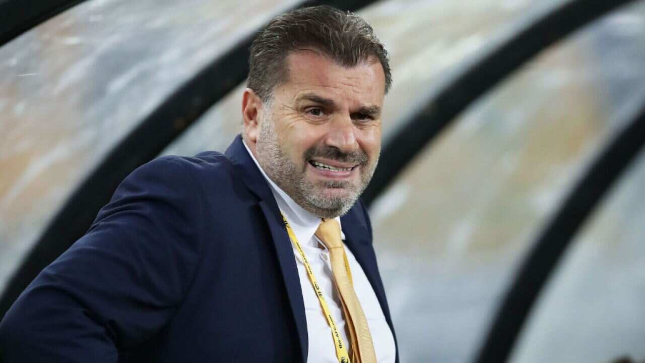 Ange Postecoglou