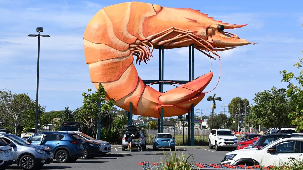 An image of the Big Prawn in Ballina, NSW