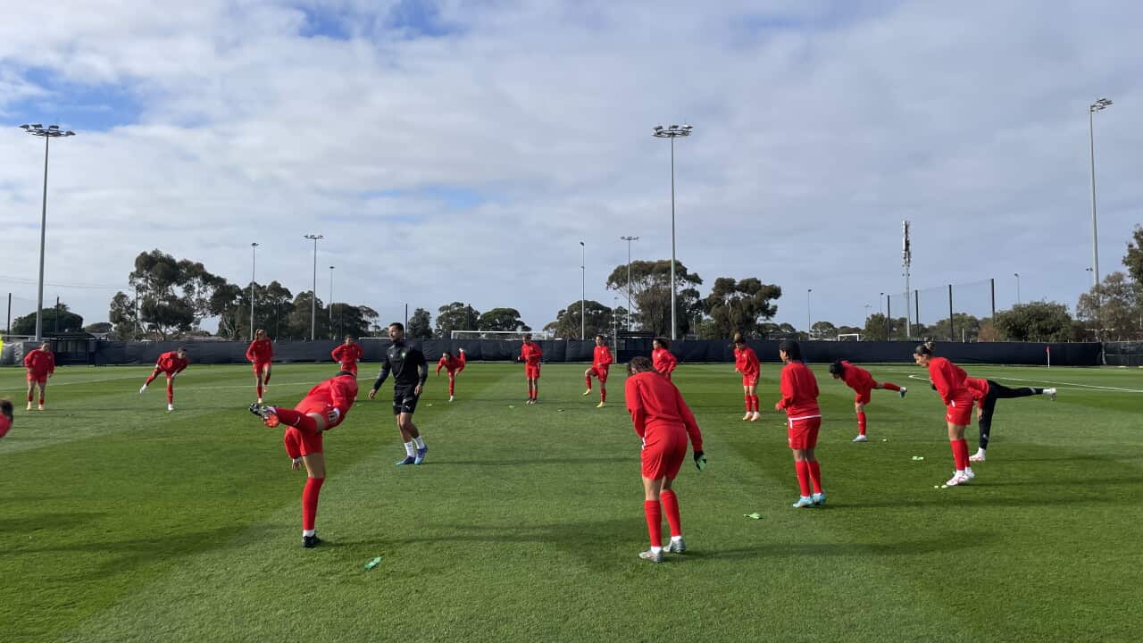 The Morocco World Cup team hold a training session in front of fans in Melbourne (SBS).jpg
