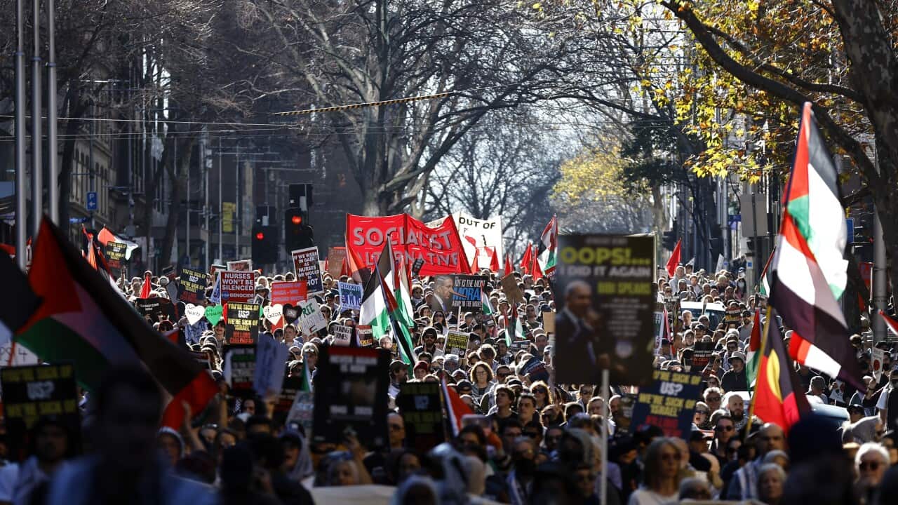 PRO PALESTINE RALLY MELBOURNE