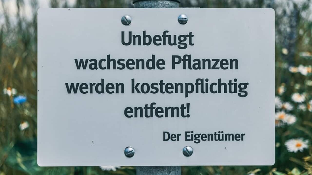 deutsch sprache grammatik rechtschreiben reform gendern
