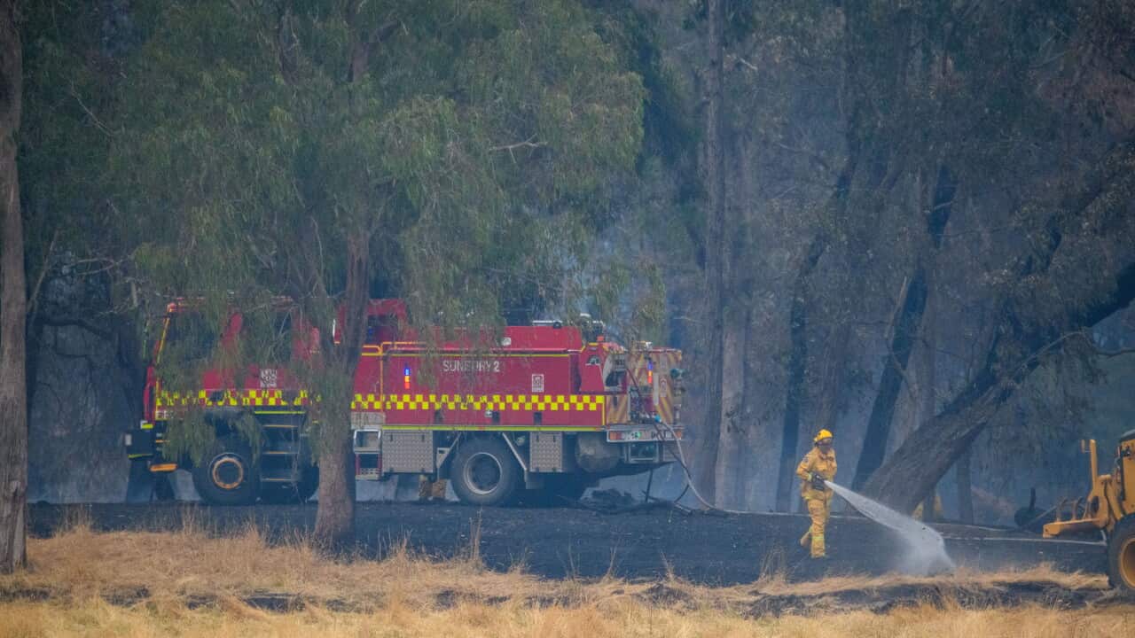 Fire crews putting out bushfires in Victoria – AAP
