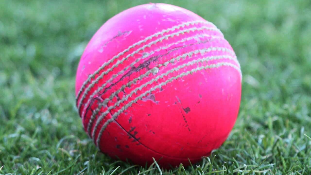 A cricket ball