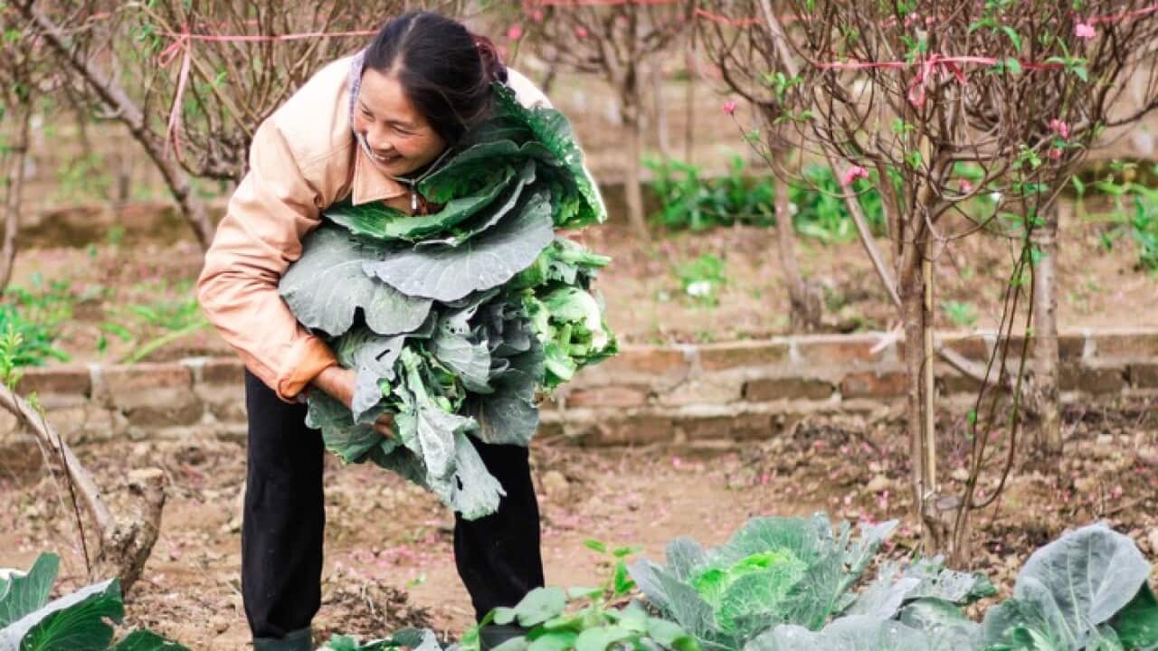 Image for read more article 'READ MORE'