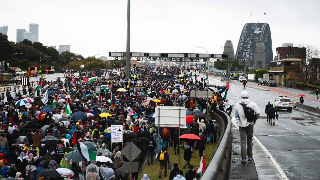 Photo 3-8-2025, 3 29 16 am.jpg