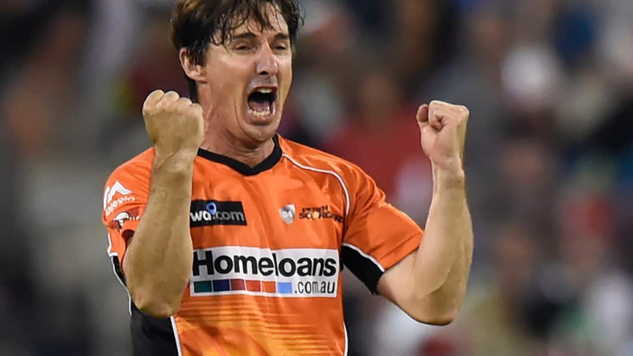 Scorchers Brad Hogg