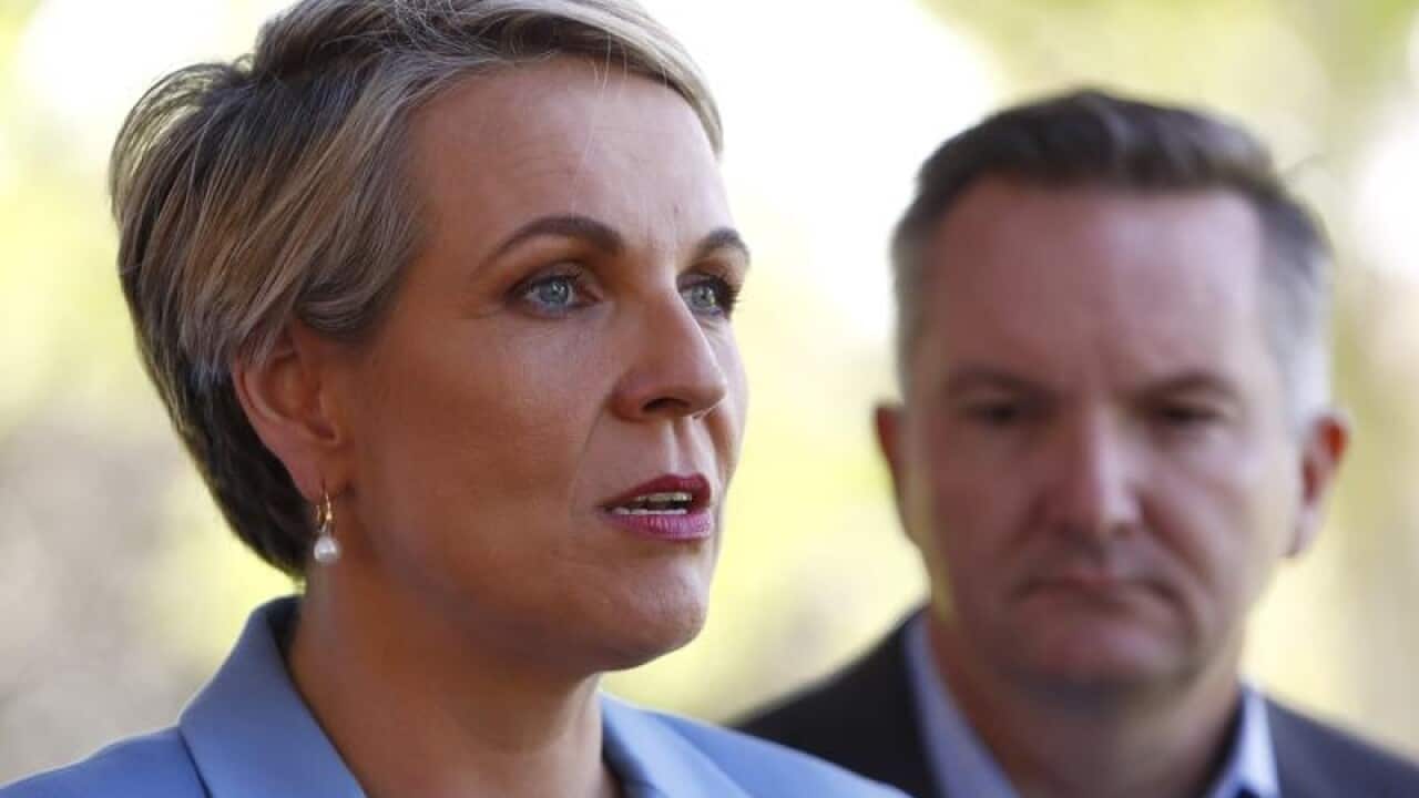 Deputy Leader of the Opposition Tanya Plibersek