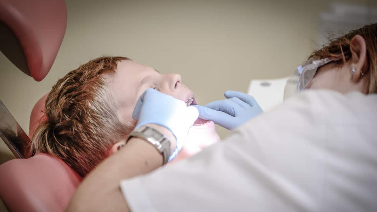dentist