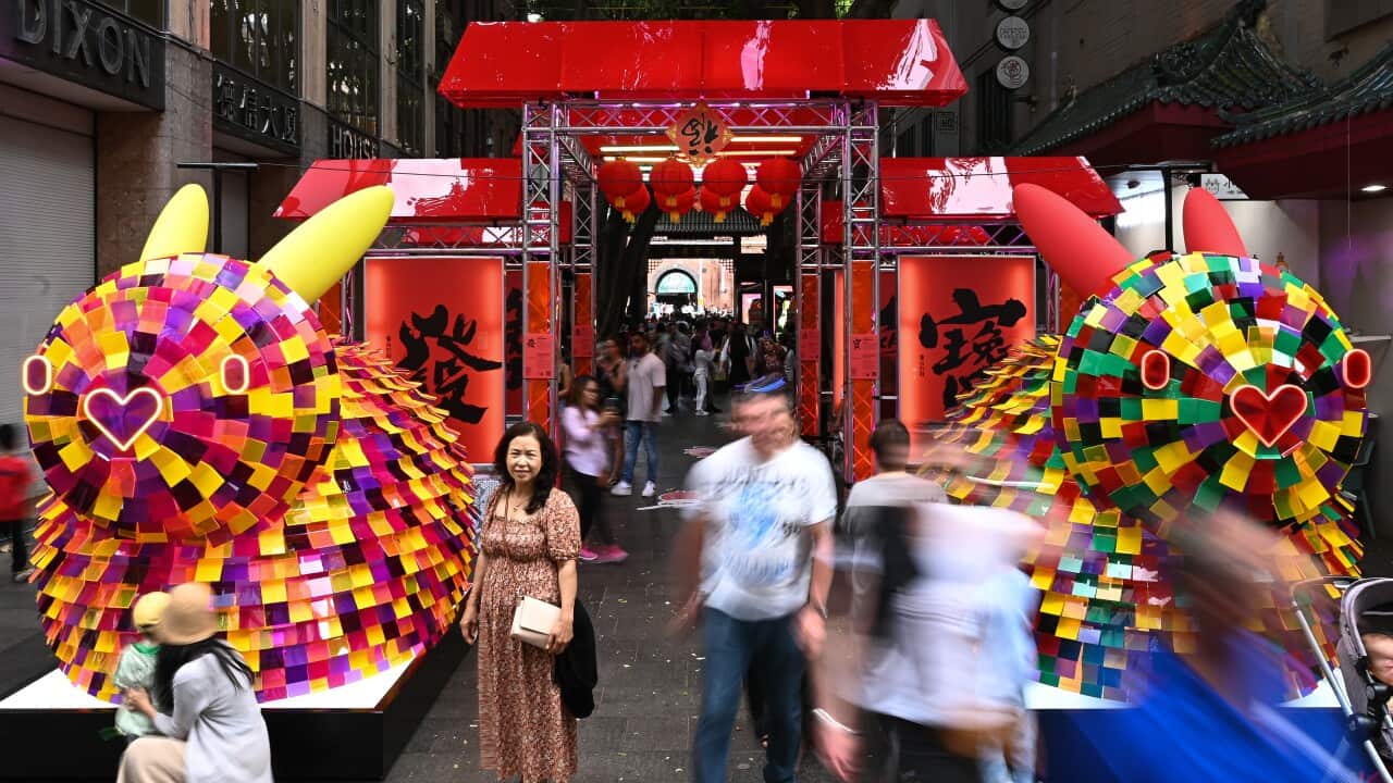 Image for read more article 'READ MORE'