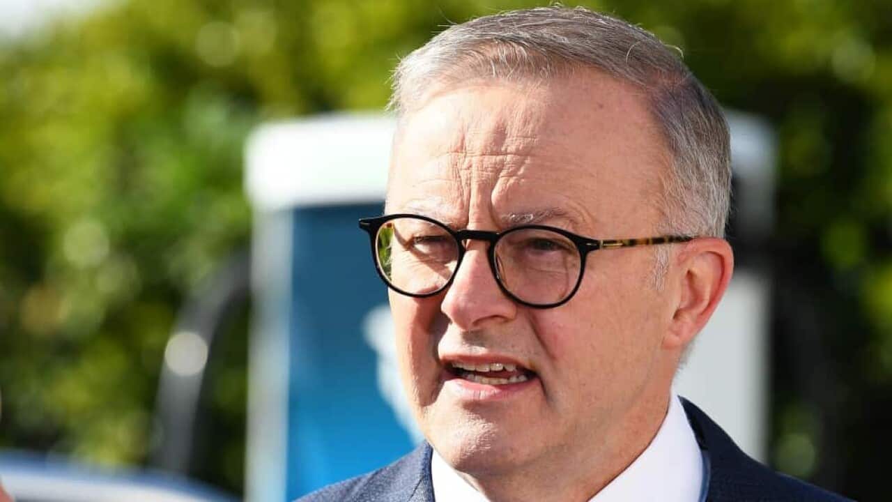 Anthony Albanese is wearing a suit and a pair of glasses