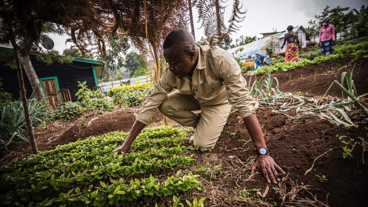 One of the finalists is John Kahekwa, the founder of the Pole Pole Foundation, which runs farming projects that grow low-cost, nutritious foods.