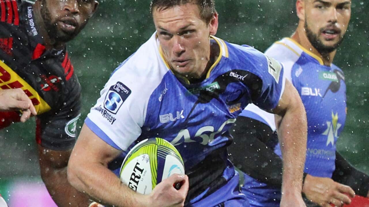 Wallabies outside back Dane Haylett-Petty