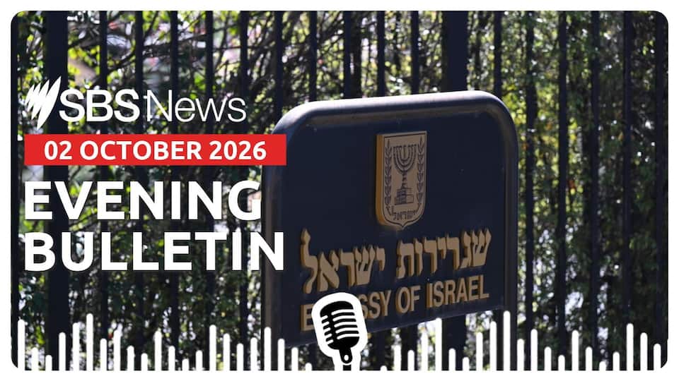 Atak Download Israel assesses plane stabbing as attempted terror attack | Evening ...