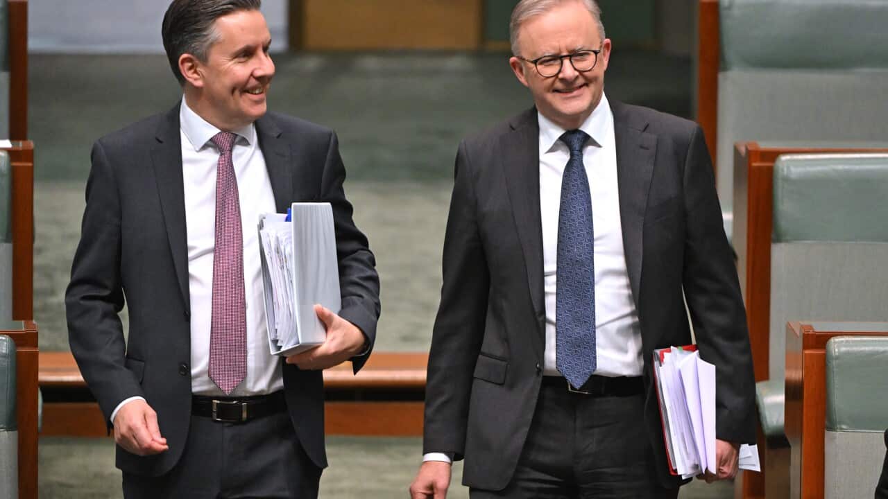 Minister for Health Mark Butler and Prime Minister Anthony Albanese arrive for Question Time