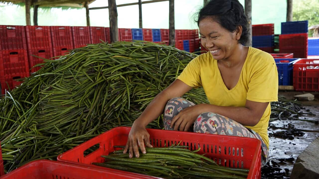 Myanmar's environment is still deteriorating because of the lack of care