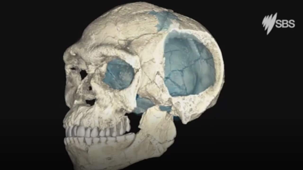 Screenshot from footage of the find