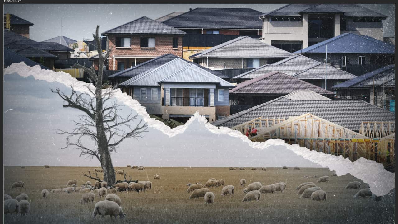 A stylised scene of a town, with sheep grazing in the foreground, a subtle ripple effect running through the landscape, and houses in the background.