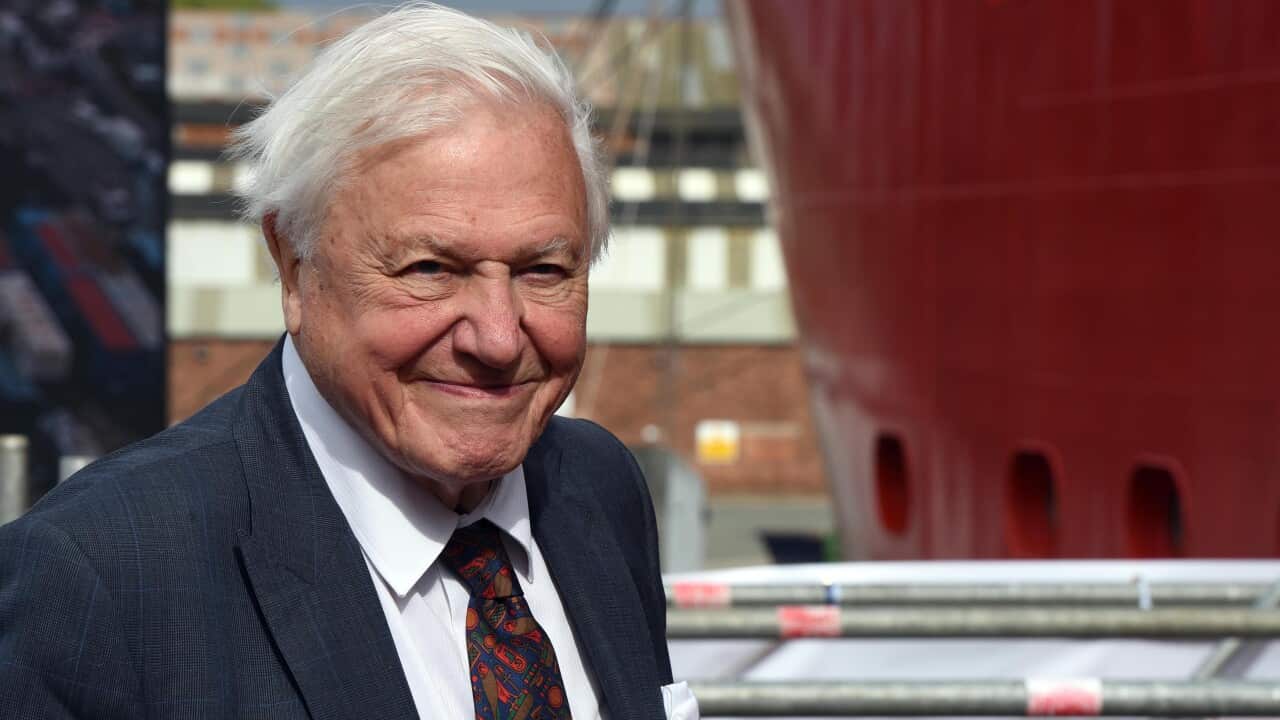 The Duke & Duchess Of Cambridge Attend The Naming Ceremony For The RSS Sir David Attenborough