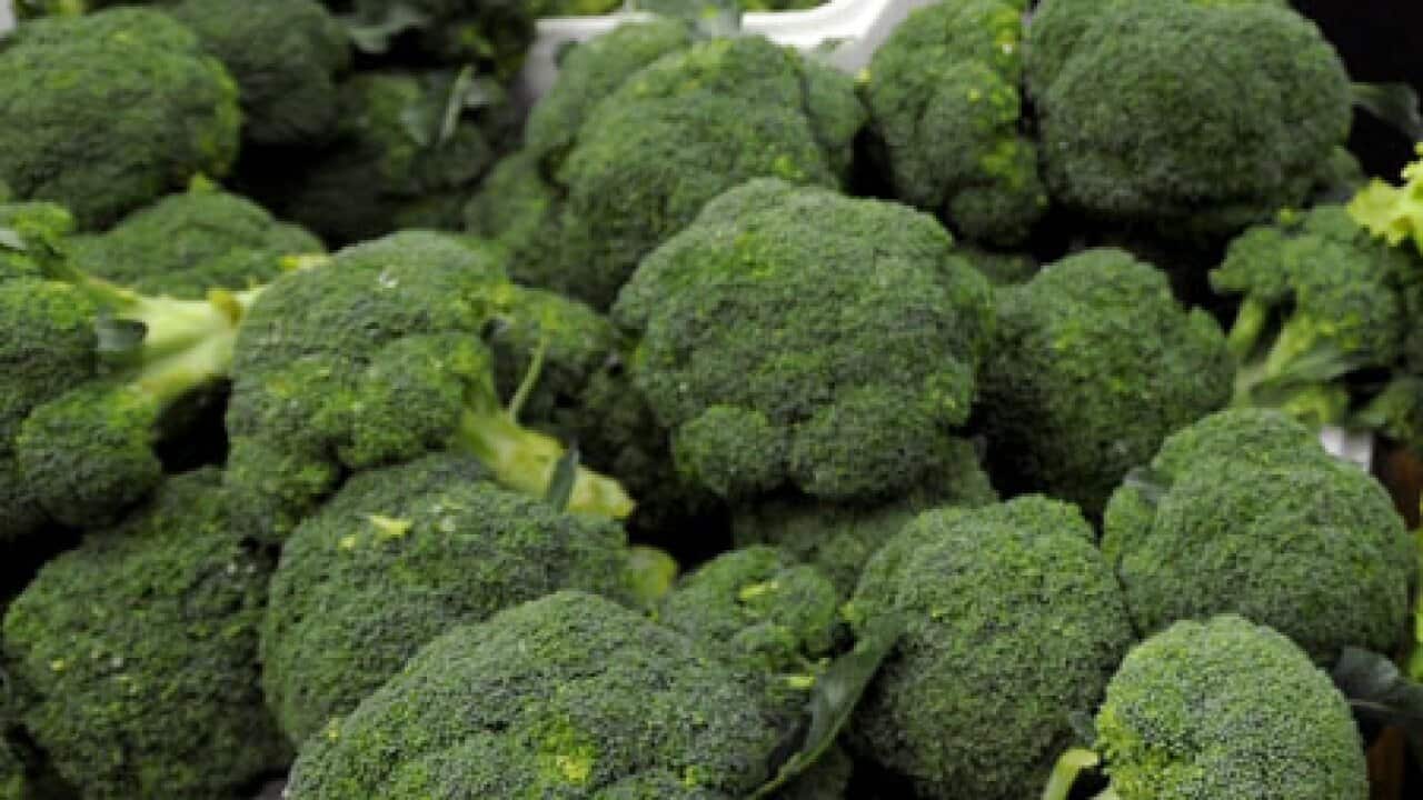broccoli_diabetes_100822_B_aap_1520326021