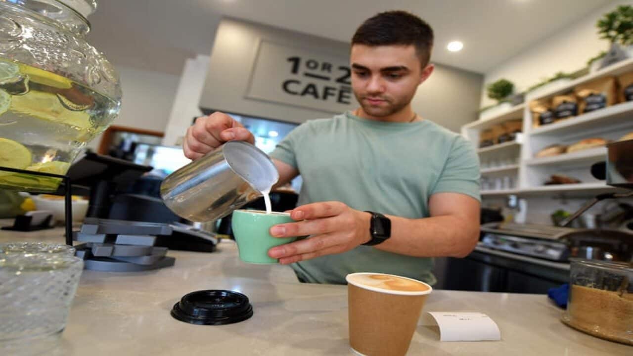 Barista