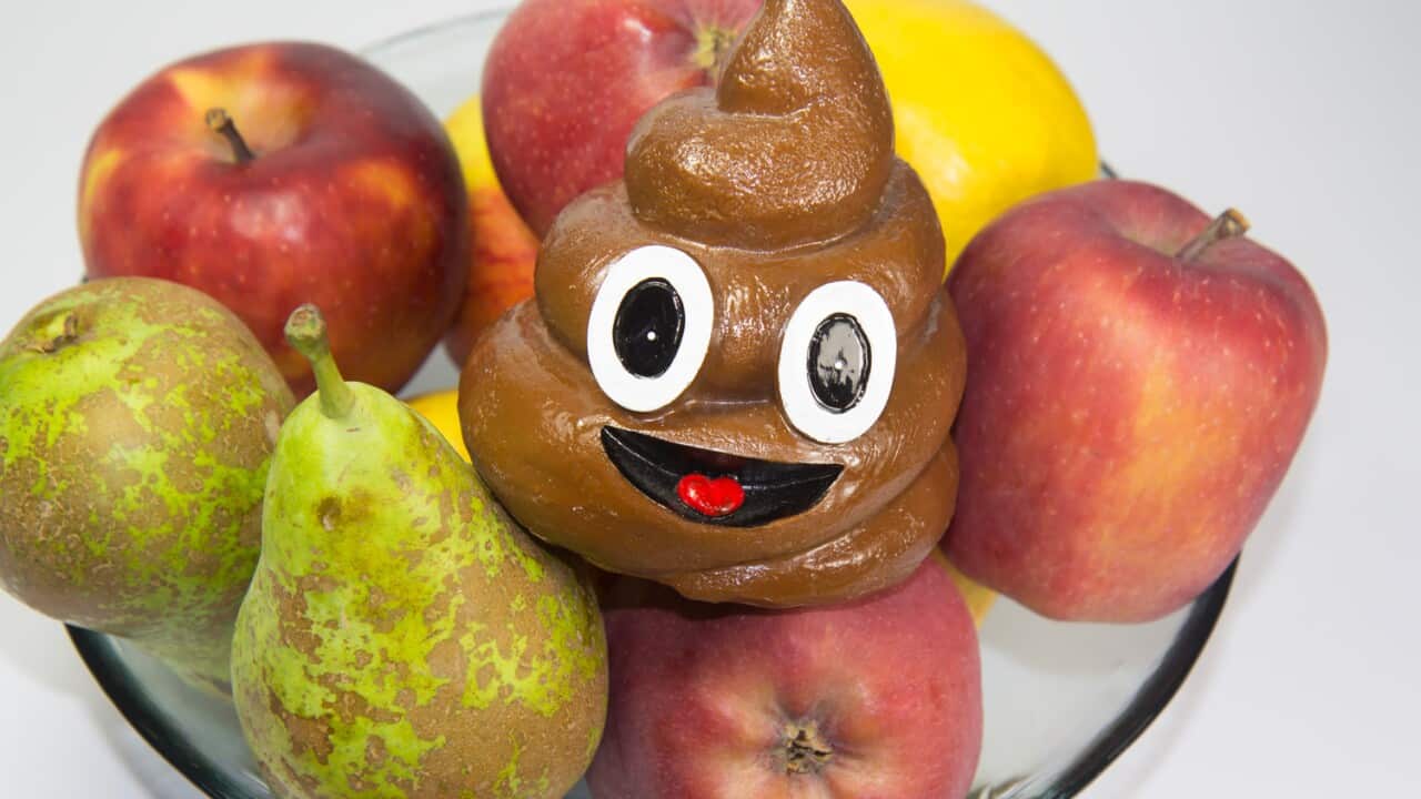 Contaminated foods are responsible for a high number of severe illnesses