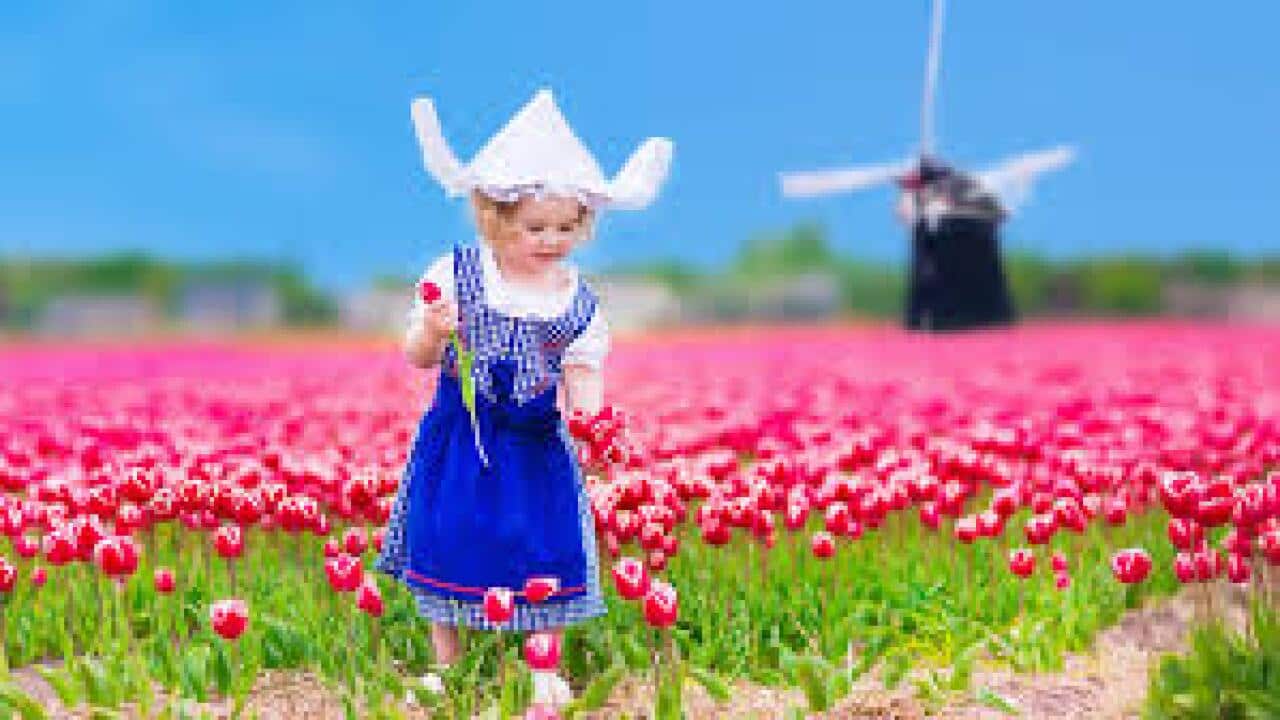 dutch lessons for adults