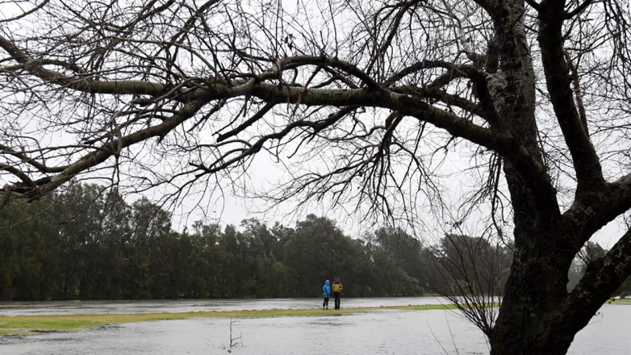 Residents walk along the banks of the Cooks River