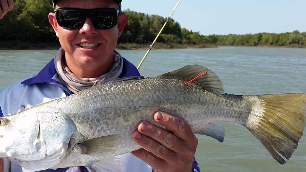Darwin fisherman Liam Hale with tagged barramundi in 2015