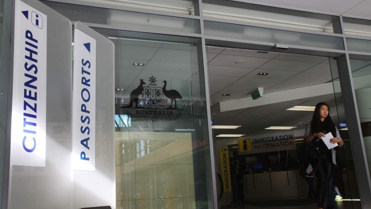 IMMIGRATION STOCK