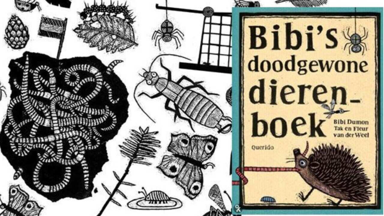 Bibi's doodgewone dierenboek