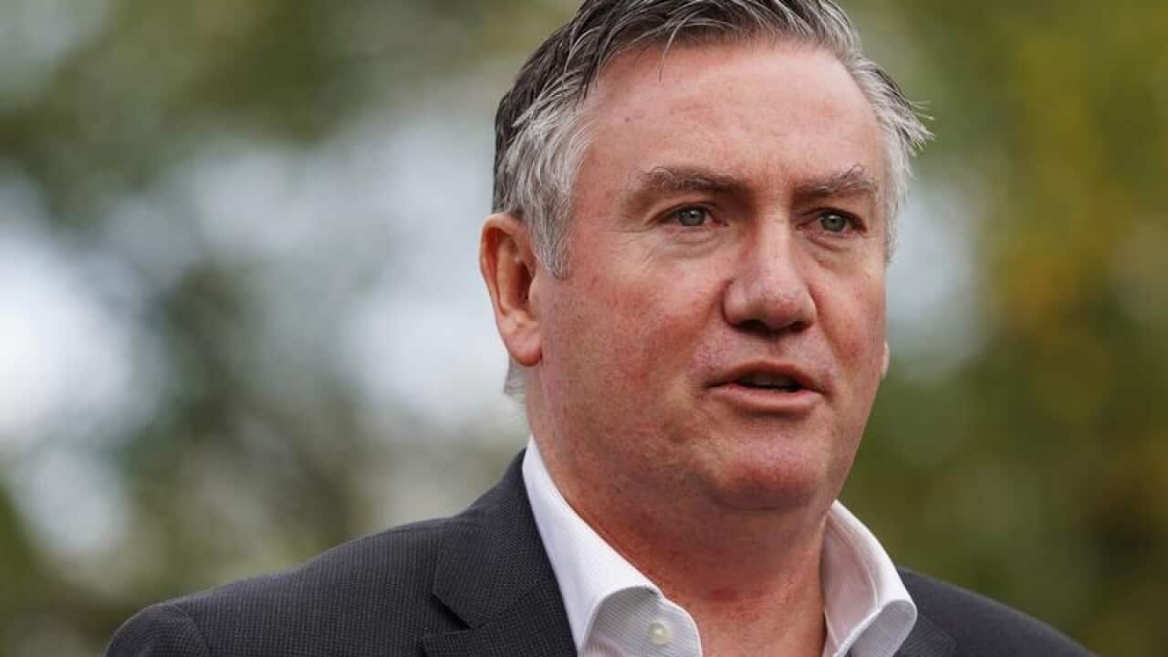 Eddie McGuire has stood down as Collingwood president, effective immediately.