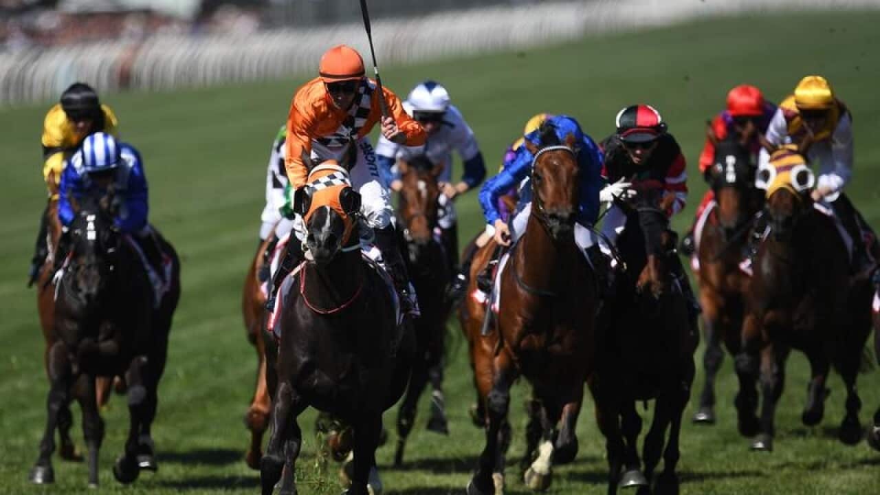 Tye Angland reacts riding Ace High (fourth from left) to victory.