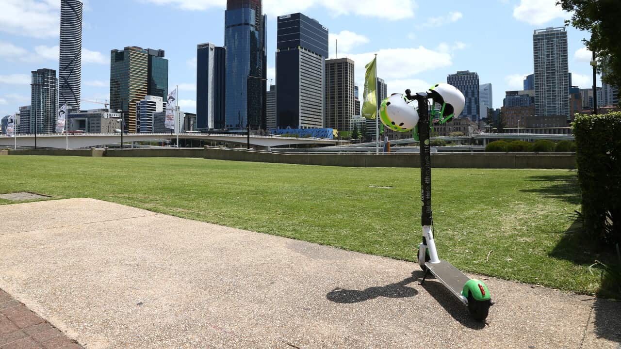 BRISBANE CITY STOCK