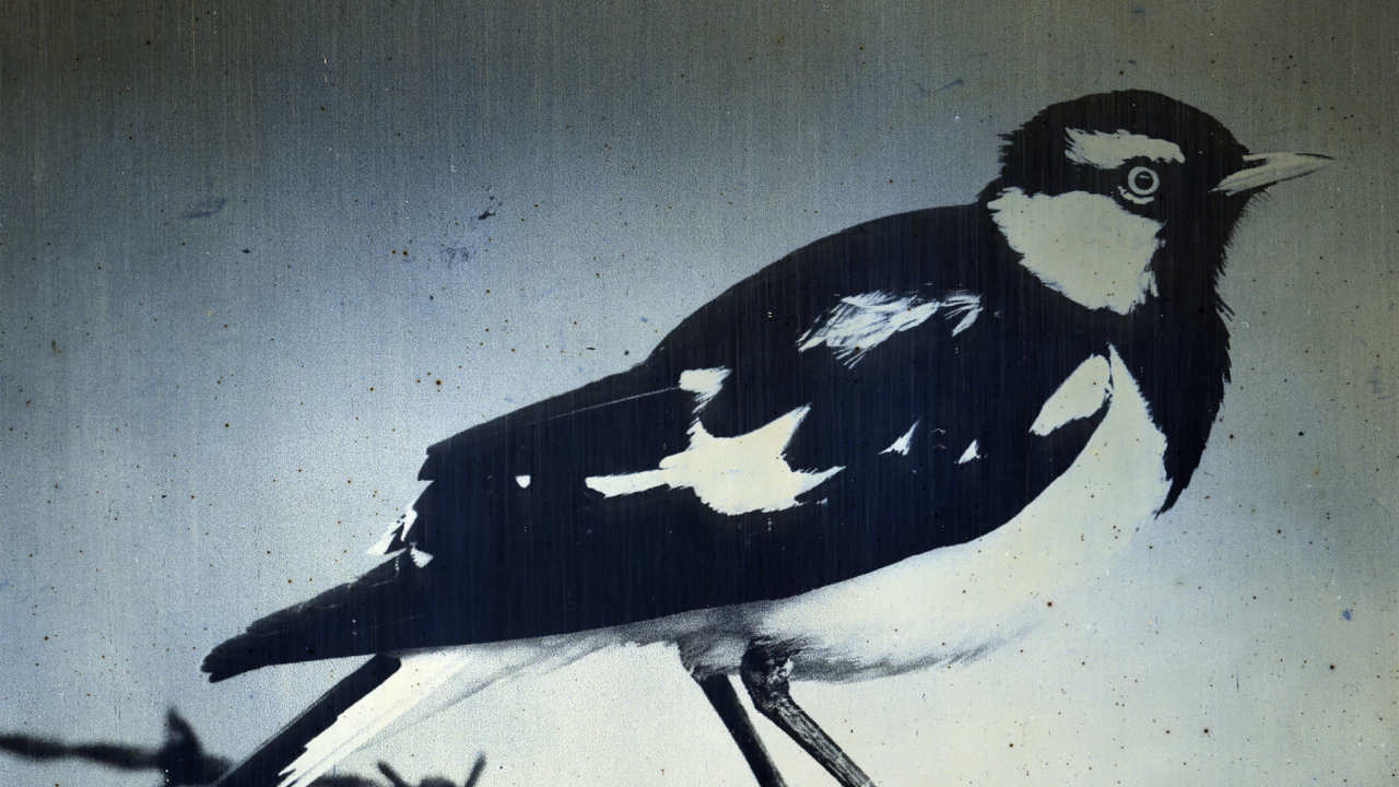 James Tylor Multi-disciplinary artist. Image of work in The Neighbour at the Gate