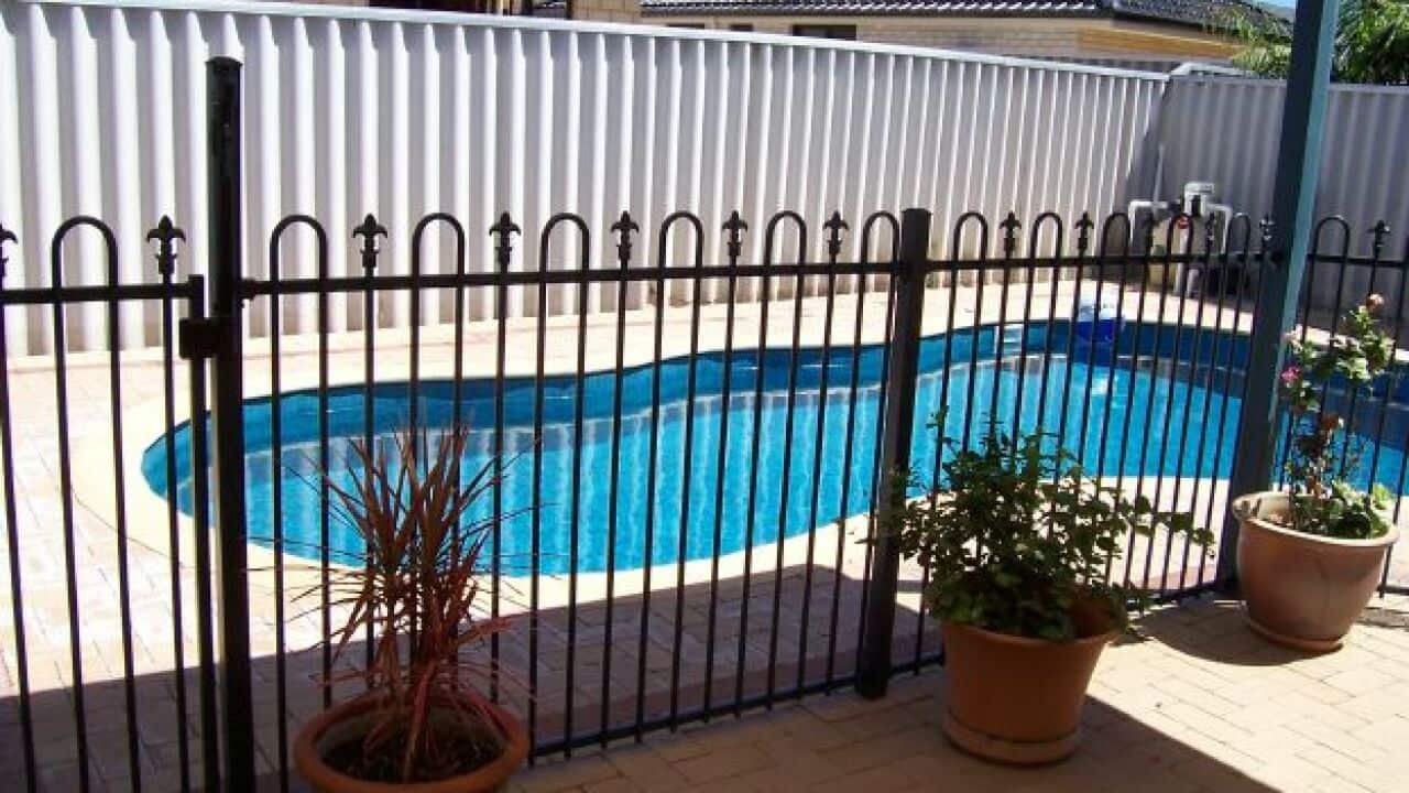 Pool Fence