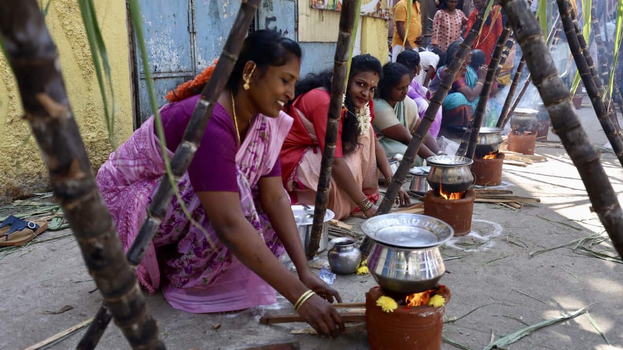 Thai Pongal festival celebration in Bangalore