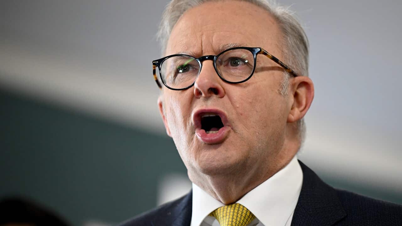 ANTHONY ALBANESE SYDNEY PRESSER