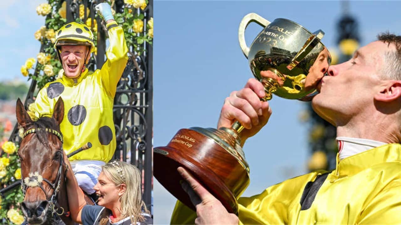 Melbourne Cup 2023.jpg