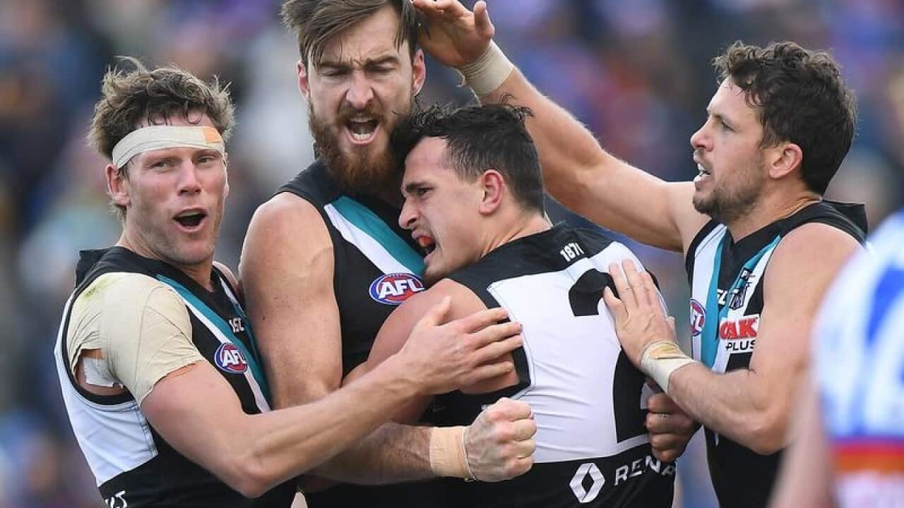 Players from Port Adelaide Power react after scoring a goal.